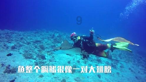 彩虹六号围攻