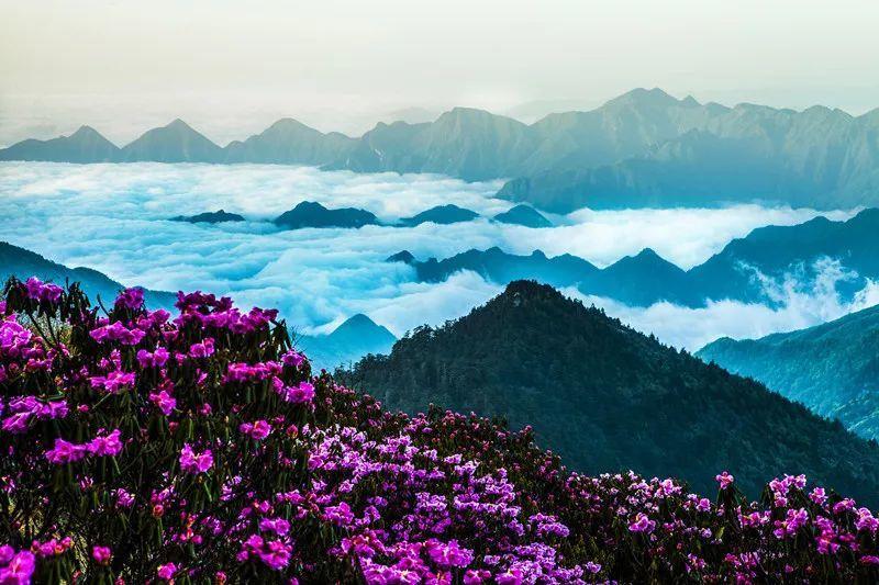 试管婴儿一代成功案例分享：一段充满希望的孕育之旅