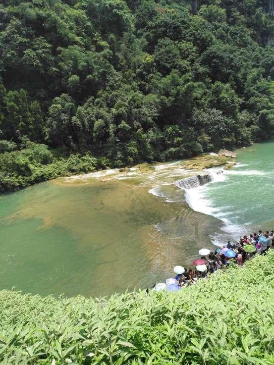 护林员年薪50万不许下山，只能带手机或者媳妇，干不干？游戏画面