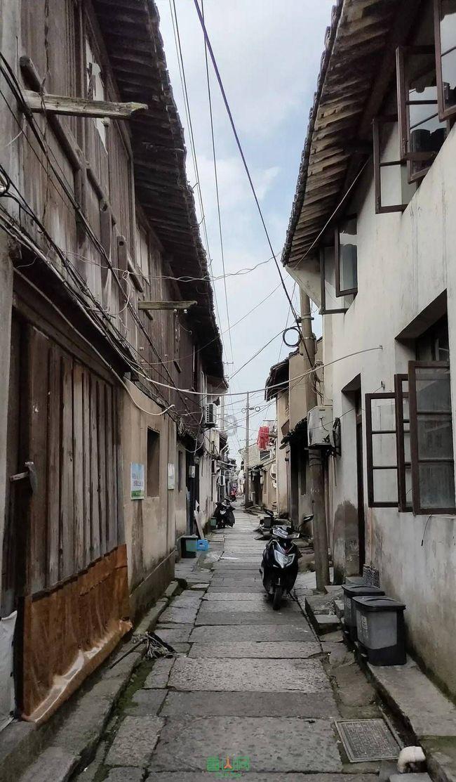 QQ企鹅